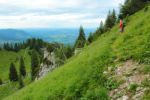 2014-07-05_Laengental-N-Hochweg (878). JPG